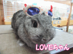 150813e.gif