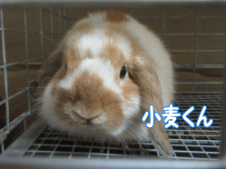 150813m.gif
