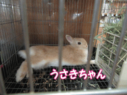 150813y.gif