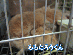 150813z.gif