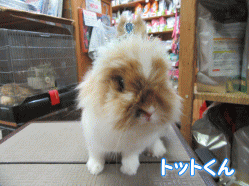 150814a.gif