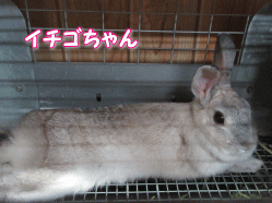 150814q.gif