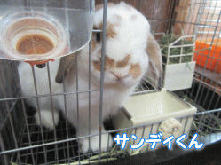 150814r.gif