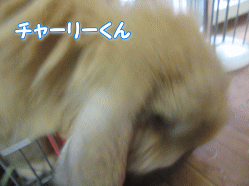 150814u.gif