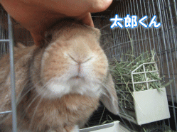150814w.gif