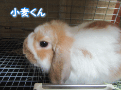 150814z2.gif
