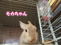 150815j.gif