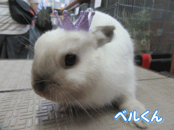 150815a.gif