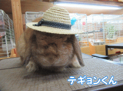 150815e.gif