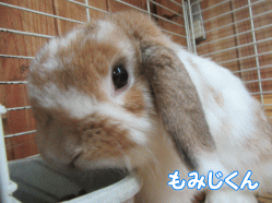 150815g.gif