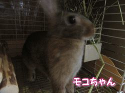 150815i.gif