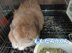 150815t.gif