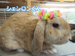150816a.gif