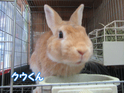 150816e.gif