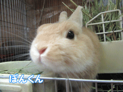 150816h.gif