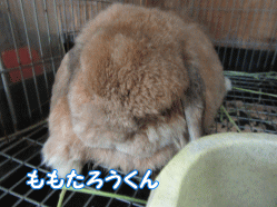 150816i.gif