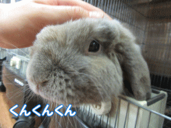 150816k.gif