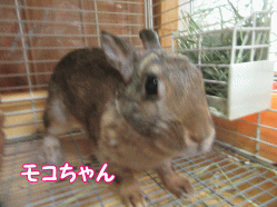 150816l.gif