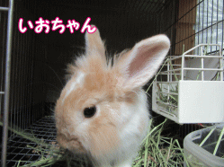 150816q.gif
