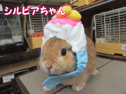 150817e.gif