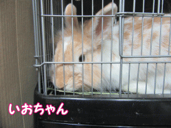 150817i.gif