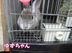 150817k.gif