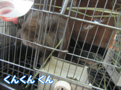 150817q.gif