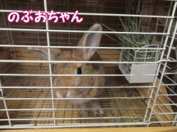 150817z3.gif