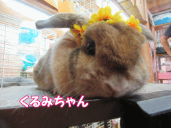 150818b.gif