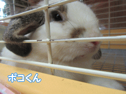 150818e.gif
