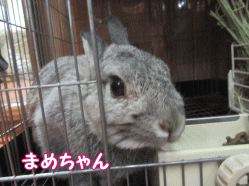 150818h.gif