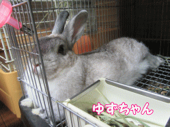 150818k.gif