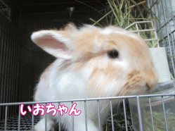 150818l.gif