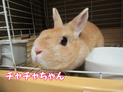 150818m.gif