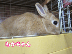 150818p.gif