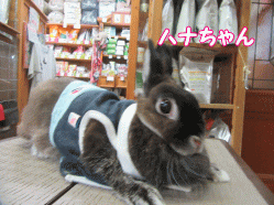 150820m.gif