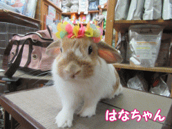 150821a.gif