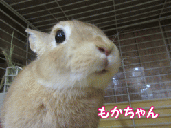 150821k.gif