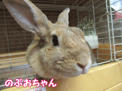 150821m.gif