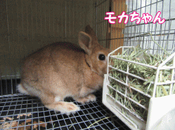 150822o.gif