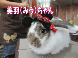 150823a.gif