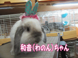 150823c.gif