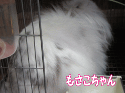 150823o.gif