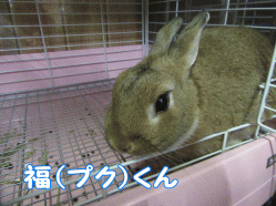 150823q.gif