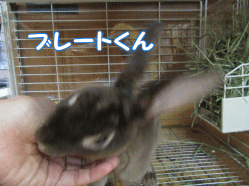 150823s.gif