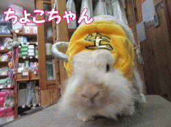 150824e.gif