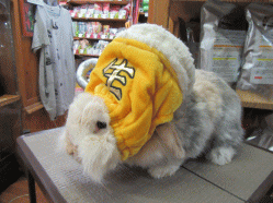 150824f.gif