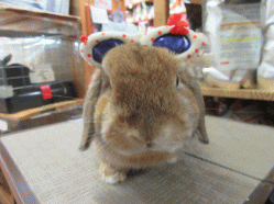 150824g.gif