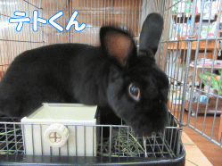 150824s.gif