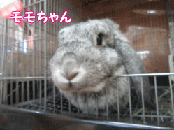 150825f.gif